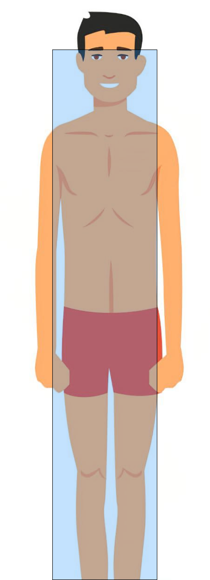 Tipo Ectomorfo