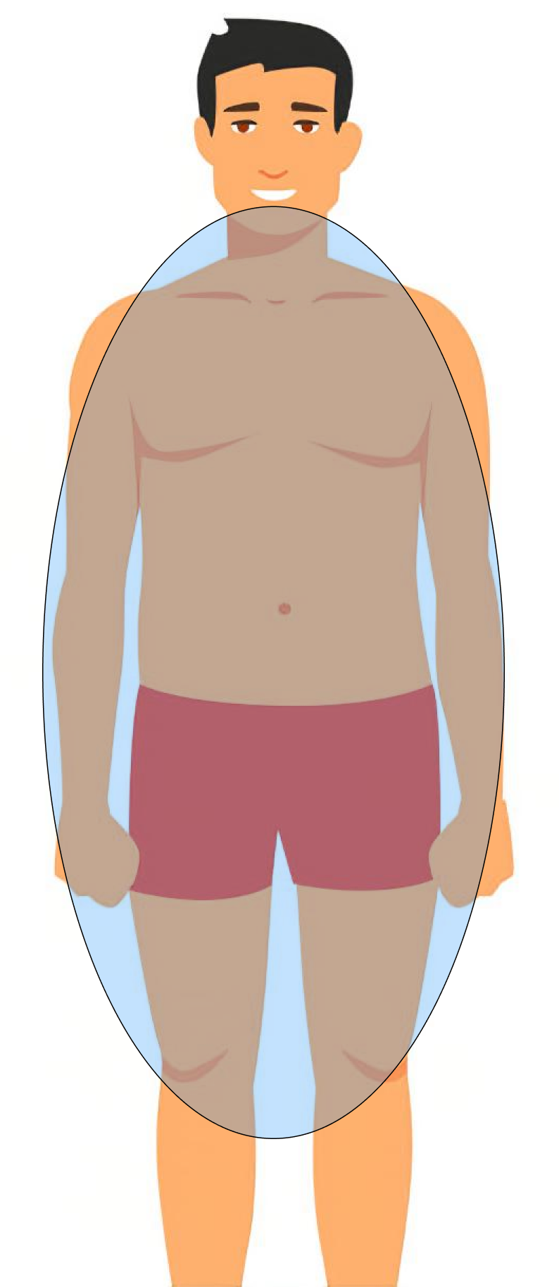 Tipo Endomorfo